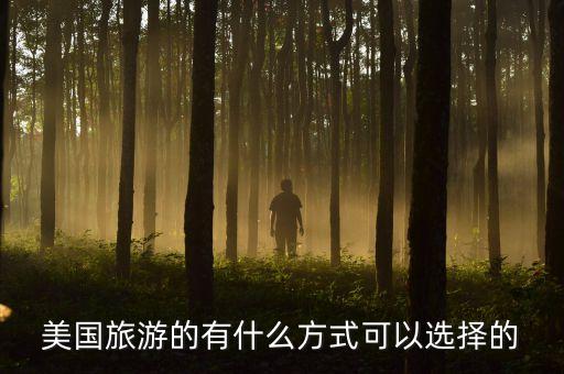 美国旅游的有什么方式可以选择的