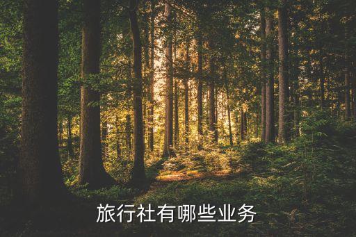 旅行社有哪些业务