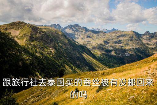 跟旅行社去泰国买的蚕丝被有没邮回来的吗