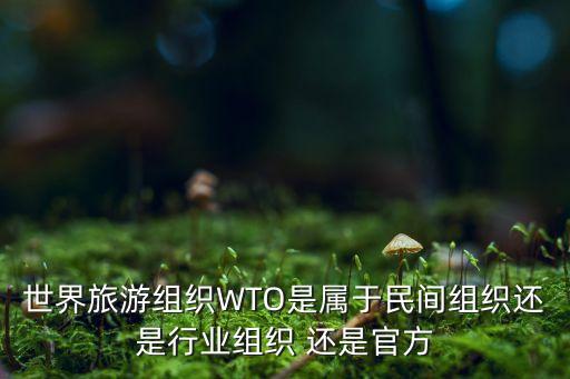 世界旅游组织WTO是属于民间组织还是行业组织 还是官方
