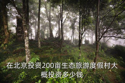 开发国际旅游度假村多少钱，1个大型的度假村制作大概需要多少钱