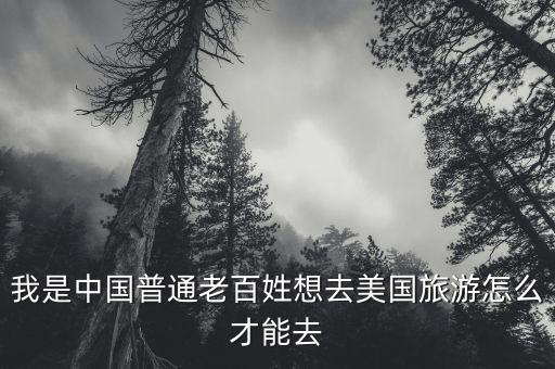 我是中国普通老百姓想去美国旅游怎么才能去