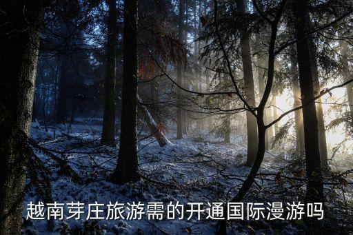 芽庄旅游怎么去国外玩，去芽庄需要护照吗