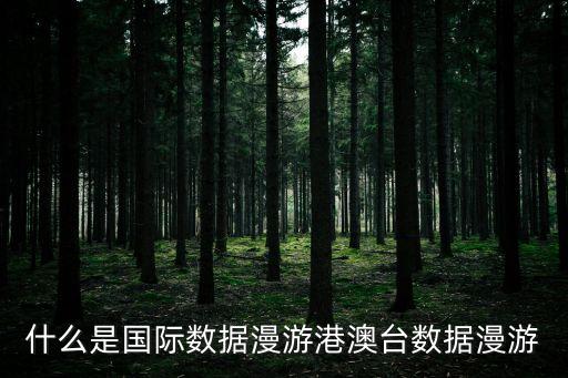 什么是国际数据漫游港澳台数据漫游