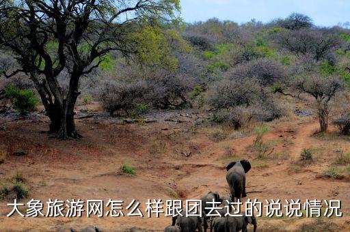 大象国际旅游团怎么样，大象旅游网怎么样跟团去过的说说情况