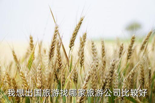 我想出国旅游找哪家旅游公司比较好