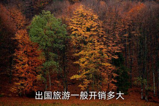 国外旅游花销大吗现在怎么样，出国旅游一般开销多大