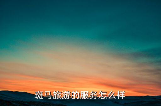 斑马旅游的服务怎么样