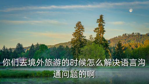 你们去境外旅游的时候怎么解决语言沟通问题的啊