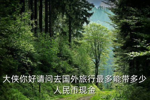 旅游国外消费限额多少，去泰国旅游有没有限制金额的规定