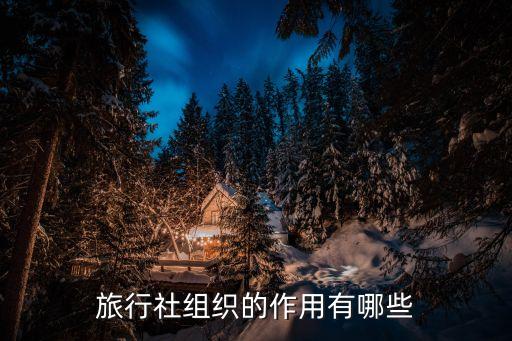 国际旅游组织的职能有哪些，旅行社组织的作用有哪些