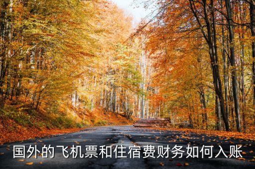 国外旅游费用怎么入账，国外费用怎么入帐