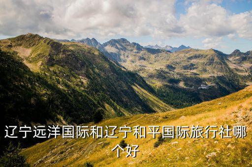 辽宁远洋国际旅游社怎么样，辽宁远洋国际和辽宁和平国际旅行社哪个好