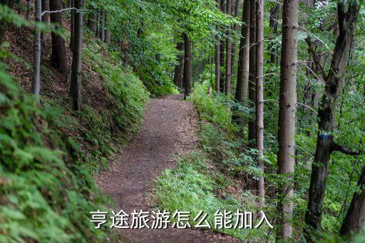 吻途国际旅游如何加盟，亨途旅游怎么能加入