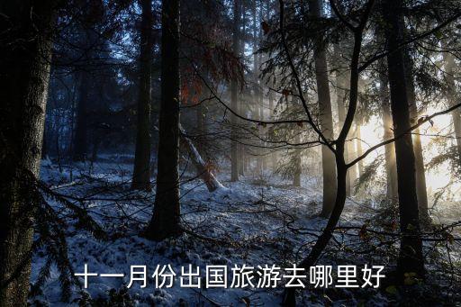 十一月份出国旅游去哪里好