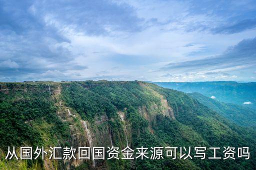 从国外汇款回国资金来源可以写工资吗