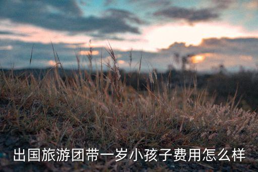 国外旅游团带孩子多少钱，出国旅游团带一岁小孩子费用怎么样
