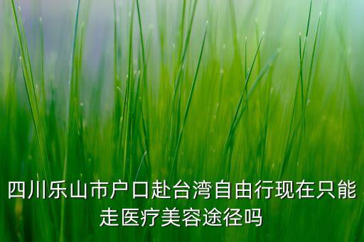 四川乐山市户口赴台湾自由行现在只能走医疗美容途径吗