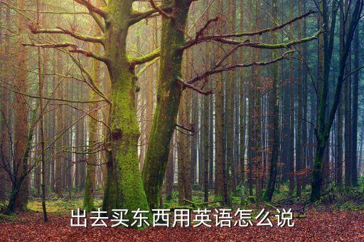 出去买东西用英语怎么说
