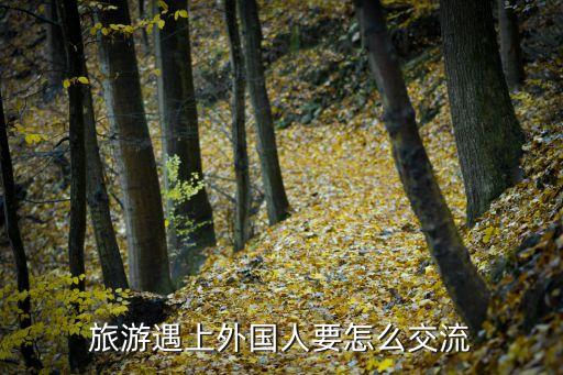 到国外旅游怎么交流，请问去国外旅游不会英语的话怎么和别人交流呢