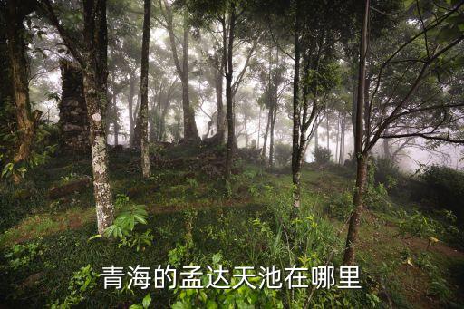 青海的孟达天池在哪里