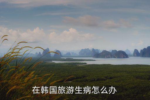 在国外旅游生病怎么办，在国外旅游生病了怎么解决
