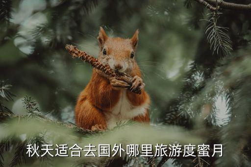 中秋节适合去哪里旅游国外，中秋节在国外有什么好玩的