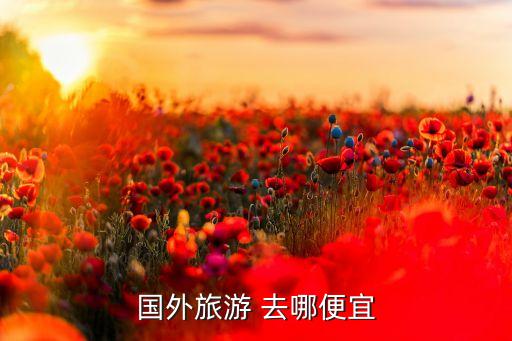 国外旅游怎么交费便宜的，去国外旅游机票怎样买才好