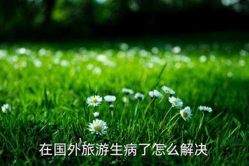 在国外旅游生病了怎么解决