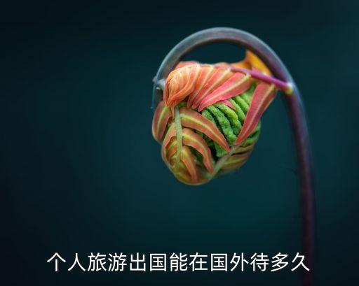 个人旅游出国能在国外待多久