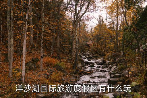 洋沙湖国际旅游度假区有什么玩