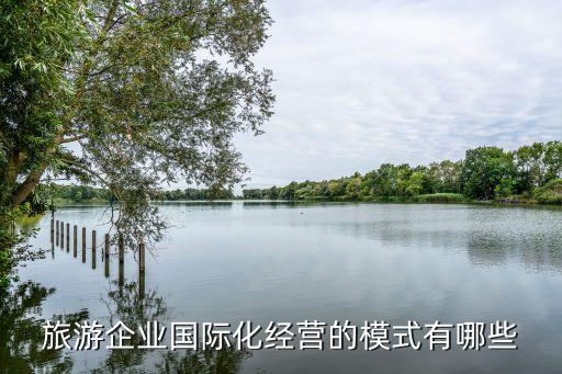 旅游企业国际化经营的模式有哪些