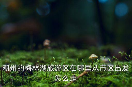 葛仙村国际旅游度假区在哪里办公，潮州的梅林湖旅游区在哪里从市区出发怎么走