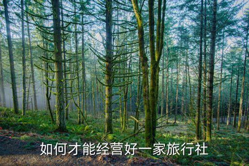 国际旅游公司如何经营，如何做好旅游公司