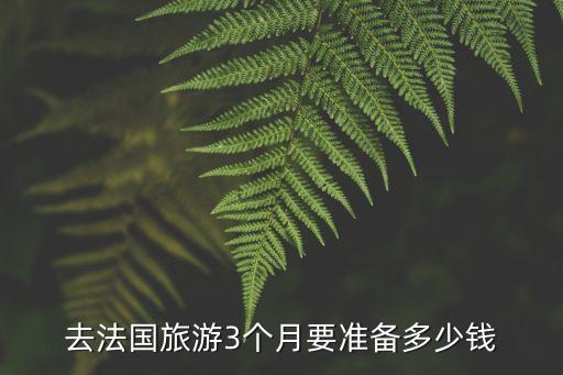 去法国旅游3个月要准备多少钱