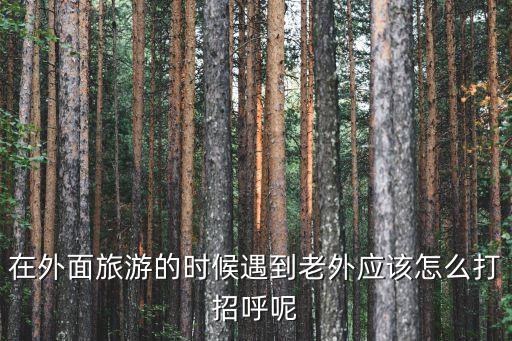 在外面旅游的时候遇到老外应该怎么打招呼呢