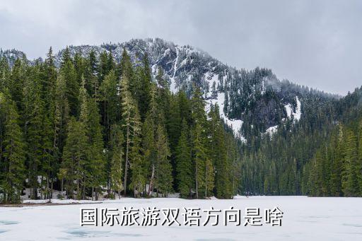 蚁丛国际旅游是什么，南宁的国际旅行社有哪些
