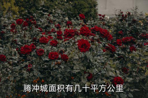 腾冲城面积有几十平方公里