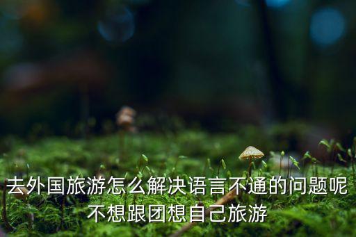 国外旅游不会说话怎么办，去外国旅行不会讲外语怎么办
