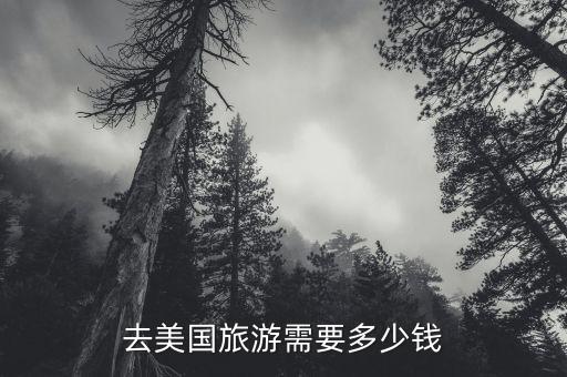 现在到国外旅游多少钱一天，去美国旅游需要多少钱