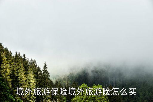境外旅游保险境外旅游险怎么买