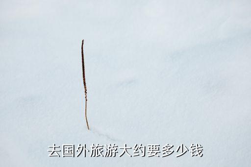 去国外旅游大约要多少钱