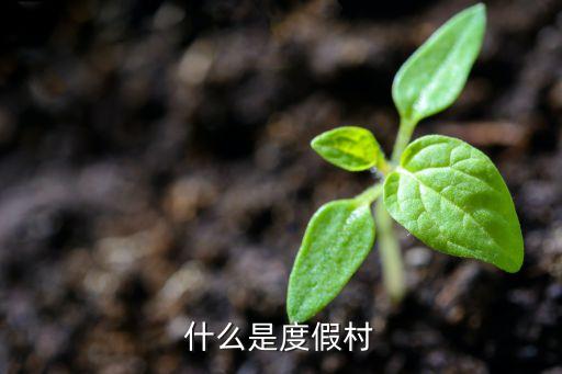 什么是度假村