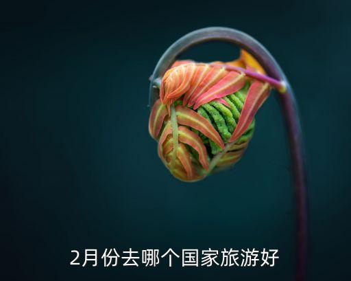 2月份去哪个国家旅游好