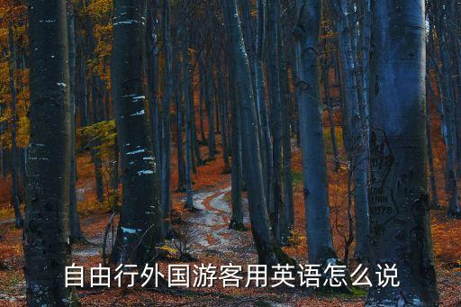 自由行外国游客用英语怎么说