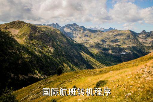 国际航班转机程序