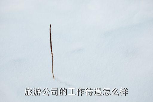做国际旅游工资怎么样啊，旅游公司的工作待遇怎么样