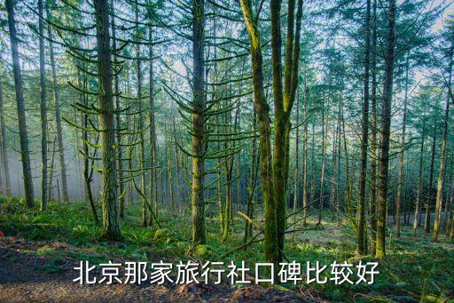 北京那家旅行社口碑比较好