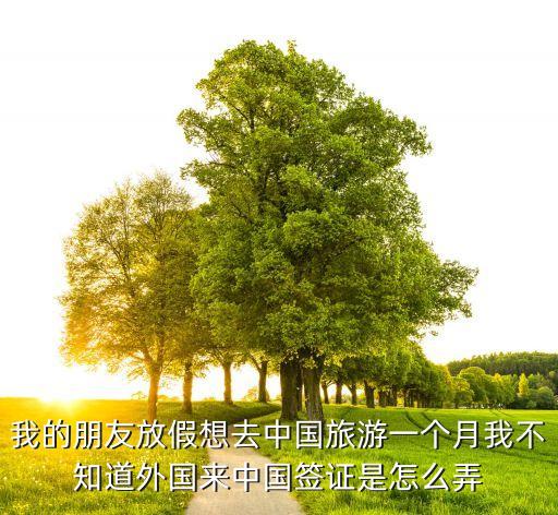 我的朋友放假想去中国旅游一个月我不知道外国来中国签证是怎么弄