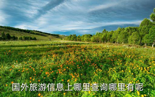 国外旅游信息上哪里查询哪里有呢